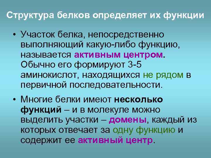 Структура белков определяет их функции • Участок белка, непосредственно выполняющий какую-либо функцию, называется активным