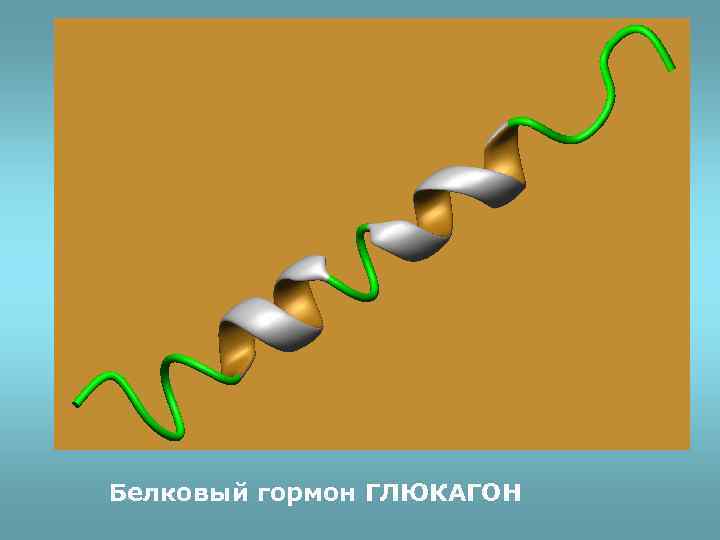 Белковый гормон ГЛЮКАГОН 