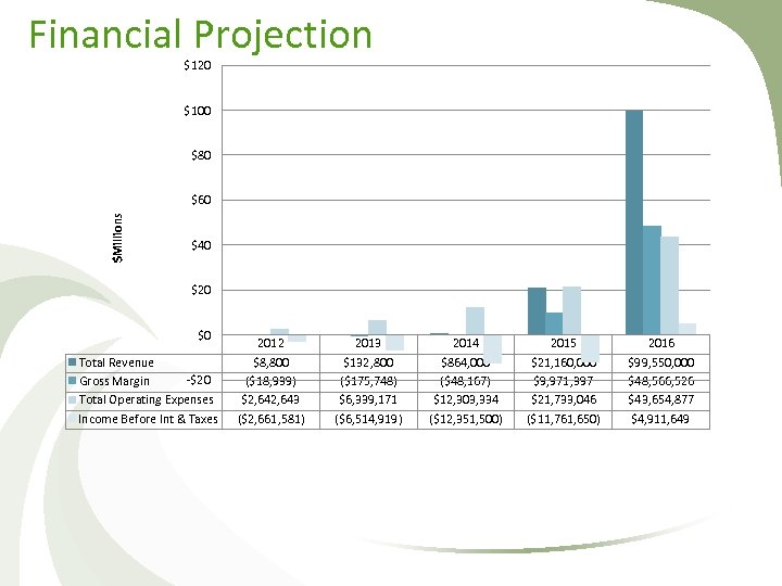Financial Projection $120 $100 $80 $Millions $60 $40 $20 $0 Total Revenue -$20 Gross