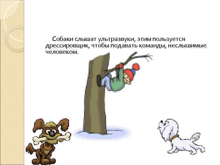 Собаки слышат ультразвуки, этим пользуется дрессировщик, чтобы подавать команды, неслышимые человеком. 