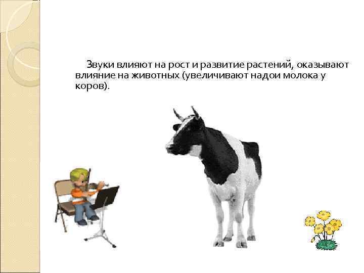 Звуки влияют на рост и развитие растений, оказывают влияние на животных (увеличивают надои молока
