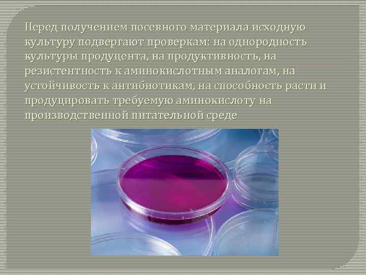 Перед получением посевного материала исходную культуру подвергают проверкам: на однородность культуры продуцента, на продуктивность,
