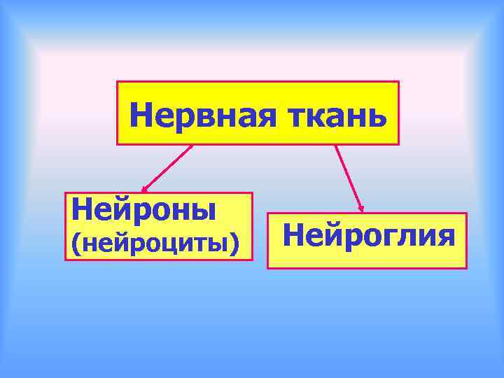 Нервная ткань Нейроны (нейроциты) Нейроглия 