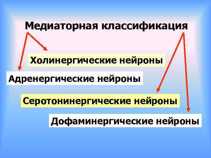 Медиаторная классификация Холинергические нейроны Адренергические нейроны Серотонинергические нейроны Дофаминергические нейроны 