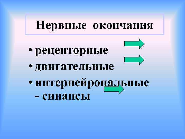 Нервные окончания • рецепторные • двигательные • интернейрональные - синапсы 