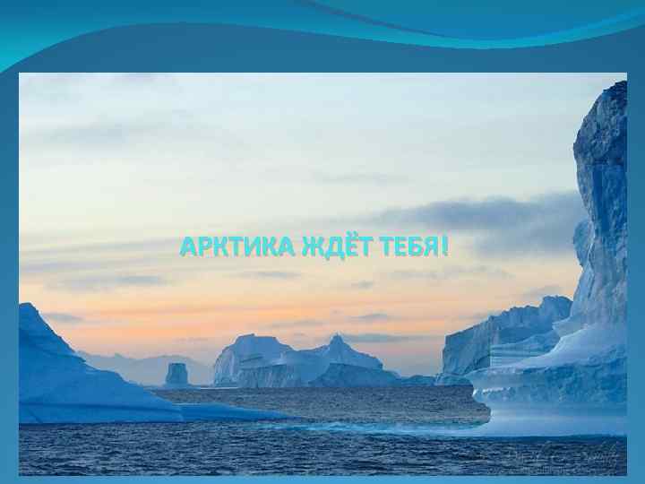 АРКТИКА ЖДЁТ ТЕБЯ! 