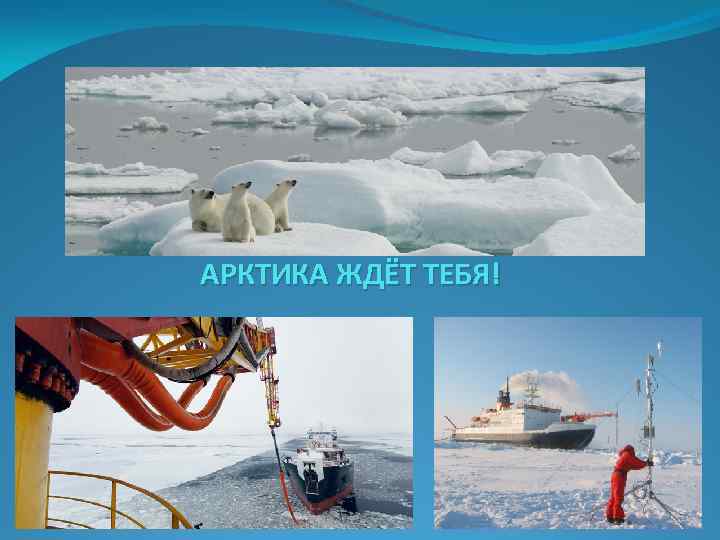 АРКТИКА ЖДЁТ ТЕБЯ! 