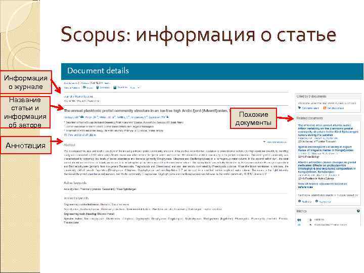 Scopus: информация о статье Информация о журнале Название статьи и информация об авторе Аннотация