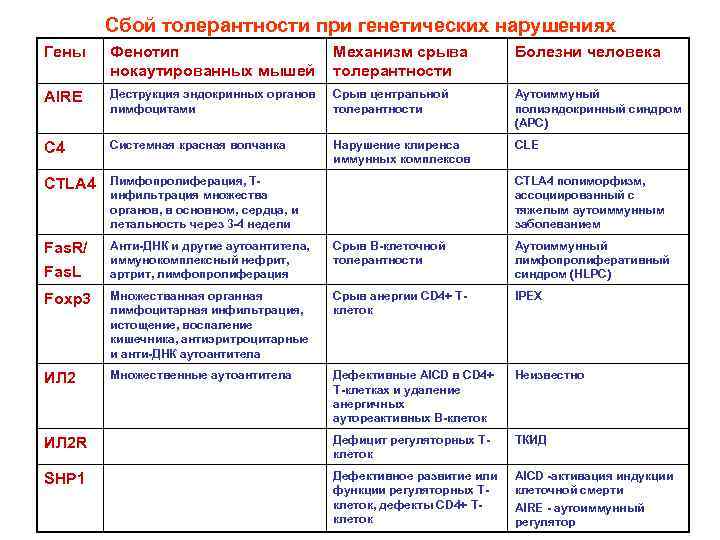 Сбой толерантности при генетических нарушениях Гены Фенотип нокаутированных мышей Механизм срыва толерантности Болезни человека