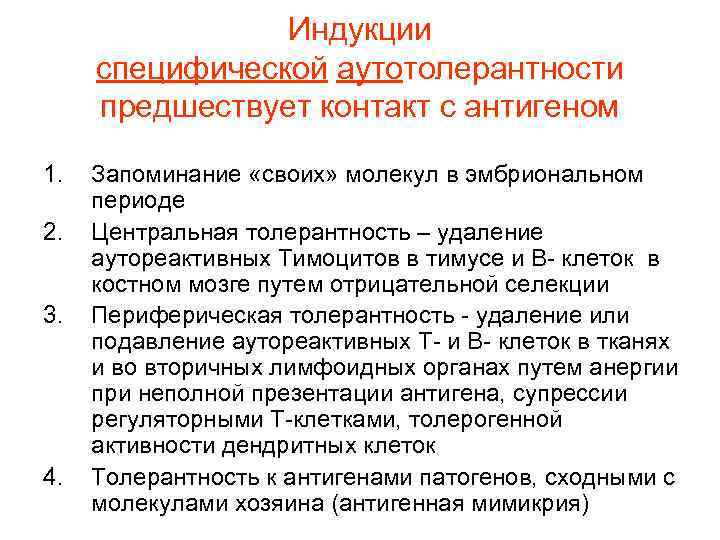 Индукции специфической аутотолерантности предшествует контакт с антигеном 1. 2. 3. 4. Запоминание «своих» молекул