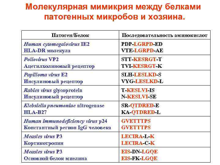 Молекулярная мимикрия между белками патогенных микробов и хозяина. Патоген/Белок Последовательность аминокислот Human cytomegalovirus IE