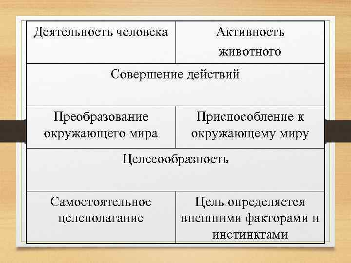 Деятельность человека Активность животного Совершение действий Преобразование окружающего мира Приспособление к окружающему миру Целесообразность