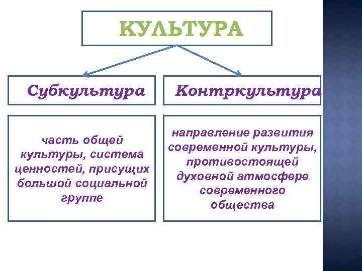 Контркультура обществознание. Субкультура и Контркультура. Контркультура понятие. Разновидности культуры субкультура и Контркультура. Контркультура это в обществознании.