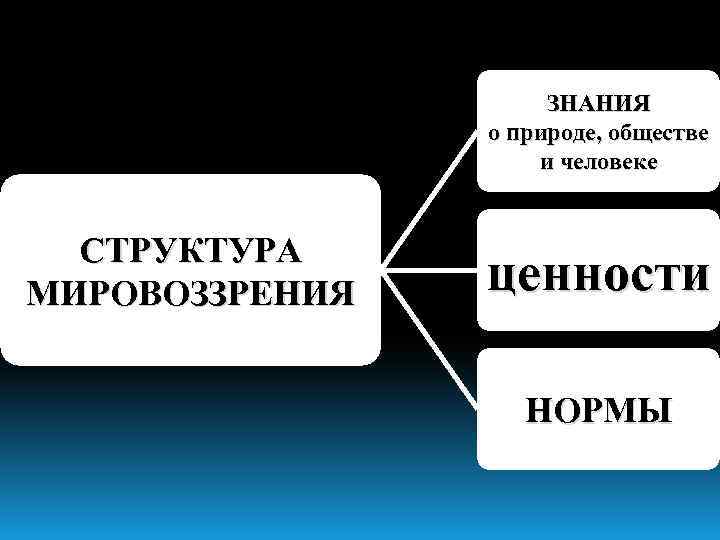 ЗНАНИЯ о природе, обществе и человеке СТРУКТУРА МИРОВОЗЗРЕНИЯ ценности НОРМЫ 