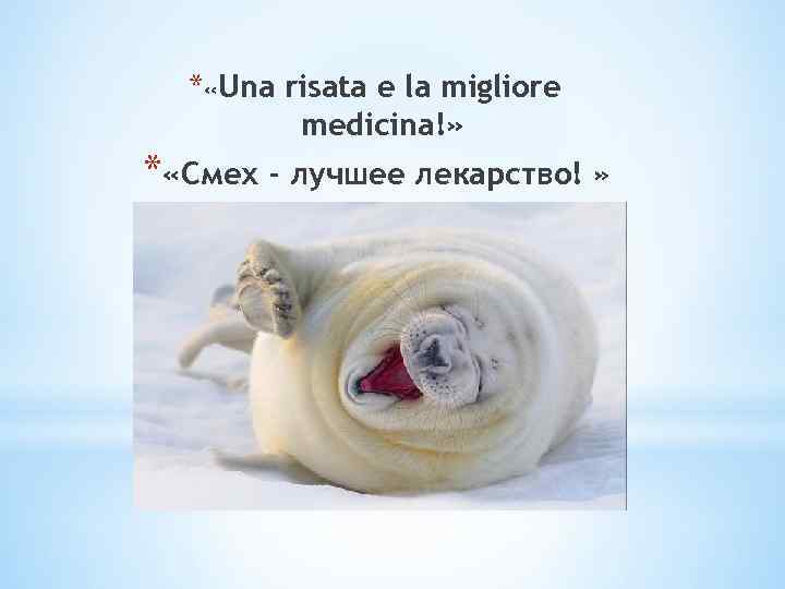* «Una risata e la migliore medicina!» * «Смех - лучшее лекарство! » 
