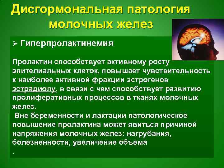 Дисгормональная патология молочных желез Ø Гиперпролактинемия Пролактин способствует активному росту эпителиальных клеток, повышает чувствительность