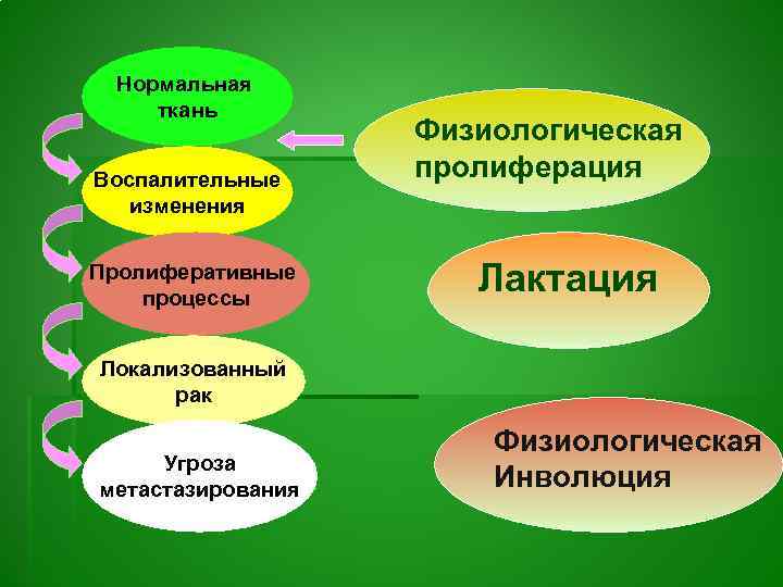 Нормальная ткань Воспалительные изменения Пролиферативные процессы Физиологическая пролиферация Лактация Локализованный рак Угроза метастазирования Физиологическая