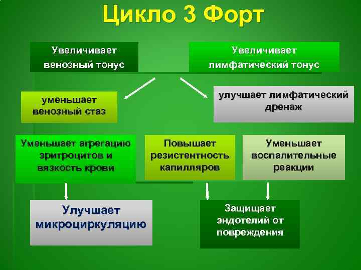 Цикло 3 Форт Увеличивает венозный тонус уменьшает венозный стаз Уменьшает агрегацию эритроцитов и вязкость