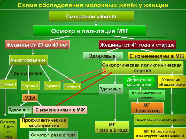 Схема обследования молочных желёз у женщин Смотровой кабинет Осмотр и пальпация МЖ Жещины от