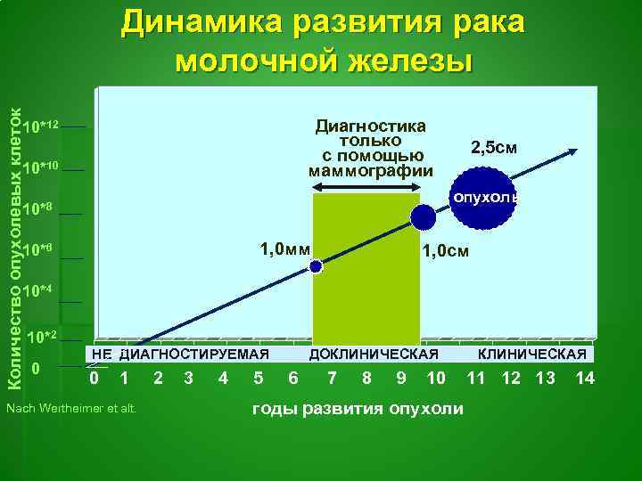 Количество опухолевых клеток Динамика развития рака молочной железы Диагностика только с помощью маммографии 10*12