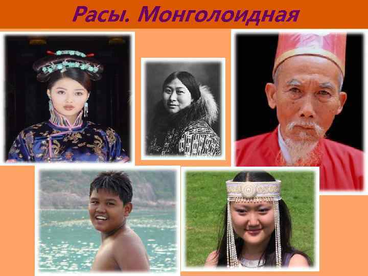 Расы. Монголоидная 
