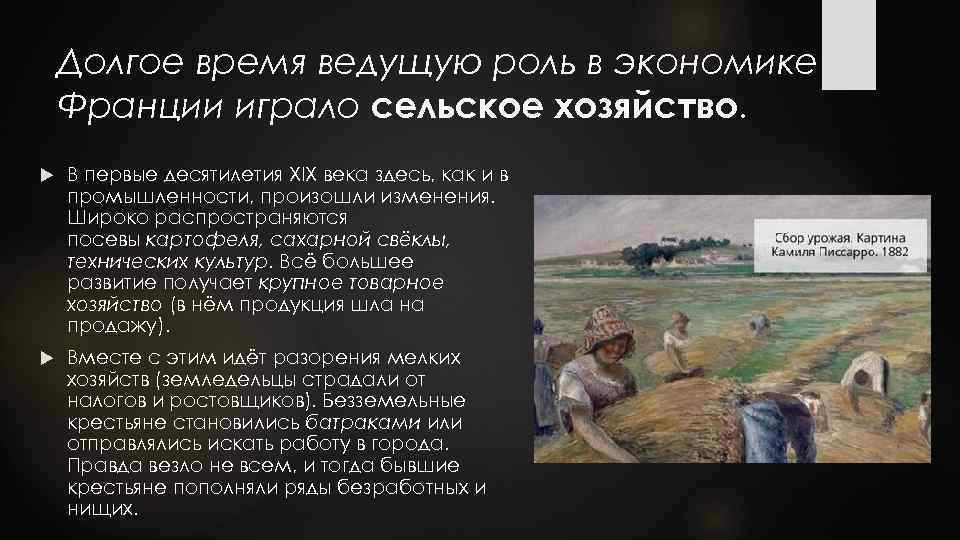 Долгое время ведущую роль в экономике Франции играло сельское хозяйство. В первые десятилетия XIX