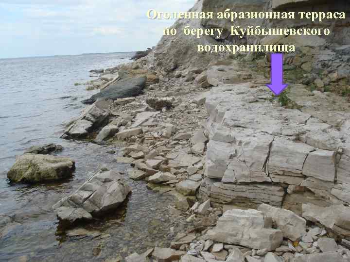 Оголенная абразионная терраса по берегу Куйбышевского водохранилища 