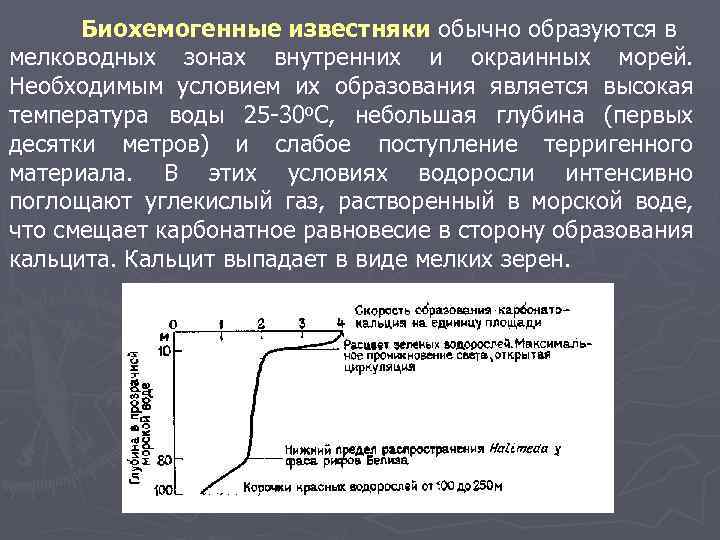 Биохемогенные известняки обычно образуются в мелководных зонах внутренних и окраинных морей. Необходимым условием их