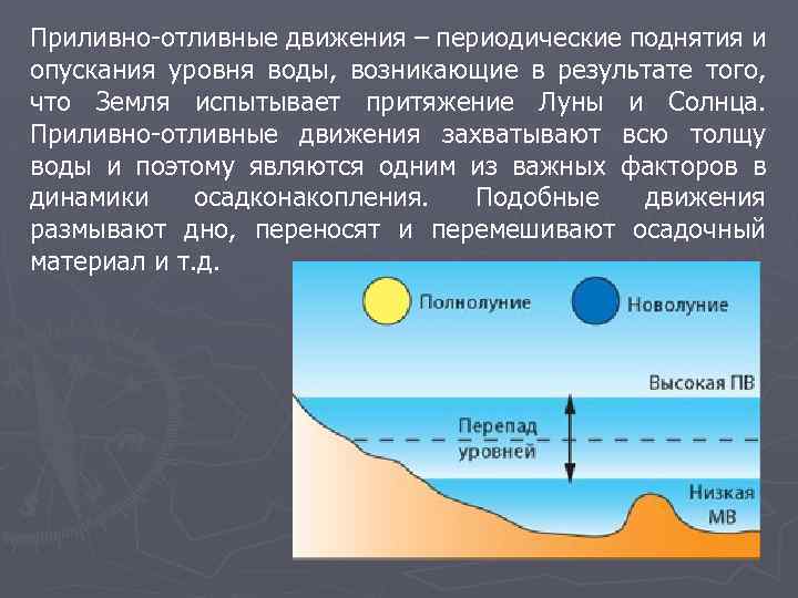 Приливно-отливные движения – периодические поднятия и опускания уровня воды, возникающие в результате того, что