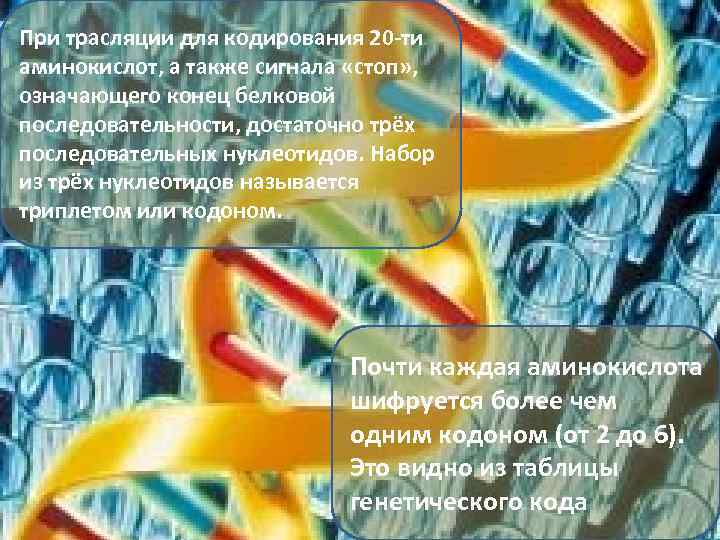 При трасляции для кодирования 20 -ти аминокислот, а также сигнала «стоп» , означающего конец