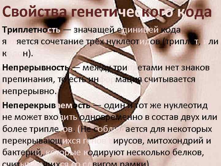 Свойства генетического кода Триплетность — значащей единицей кода является сочетание трёх нуклеотидов (триплет, или