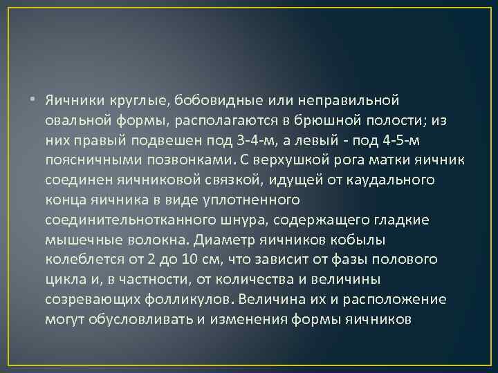  • Яичники круглые, бобовидные или неправильной овальной формы, располагаются в брюшной полости; из