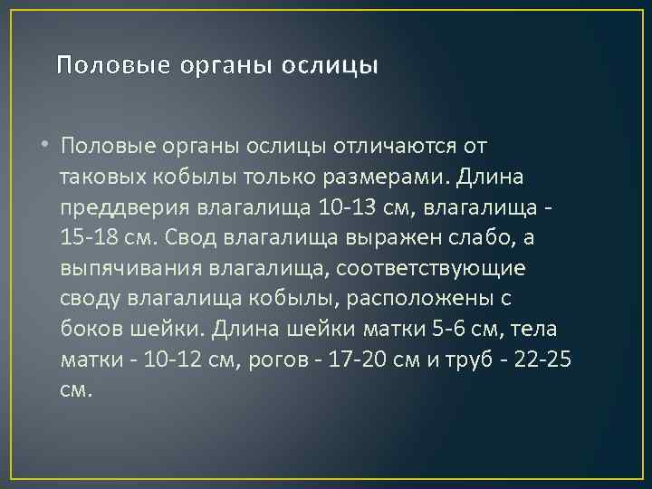 Половые органы ослицы • Половые органы ослицы отличаются от таковых кобылы только размерами. Длина