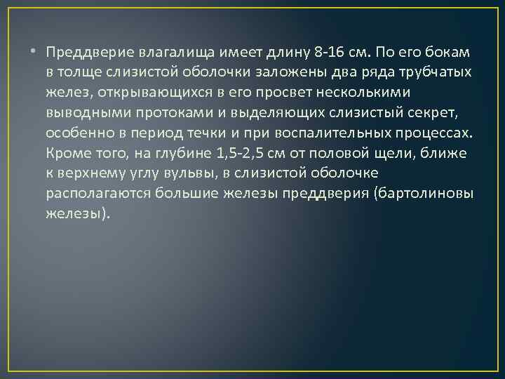  • Преддверие влагалища имеет длину 8 -16 см. По его бокам в толще