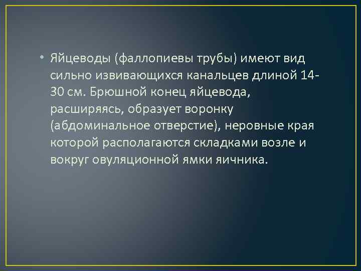  • Яйцеводы (фаллопиевы трубы) имеют вид сильно извивающихся канальцев длиной 1430 см. Брюшной