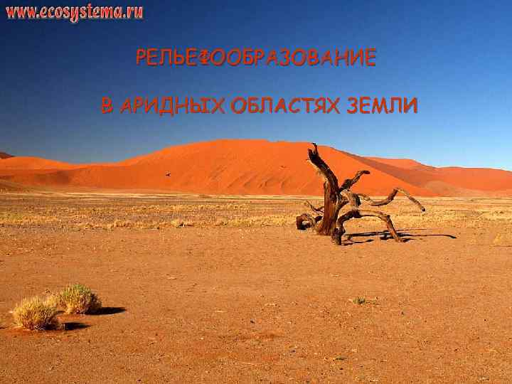 РЕЛЬЕФООБРАЗОВАНИЕ В АРИДНЫХ ОБЛАСТЯХ ЗЕМЛИ 