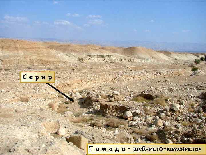 С е р и р Г а м а д а – щебнисто-каменистая 