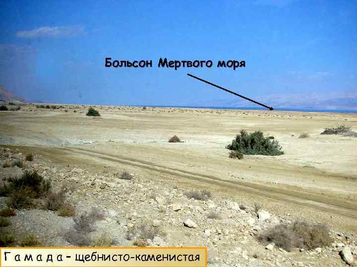 Больсон Мертвого моря Г а м а д а – щебнисто-каменистая 