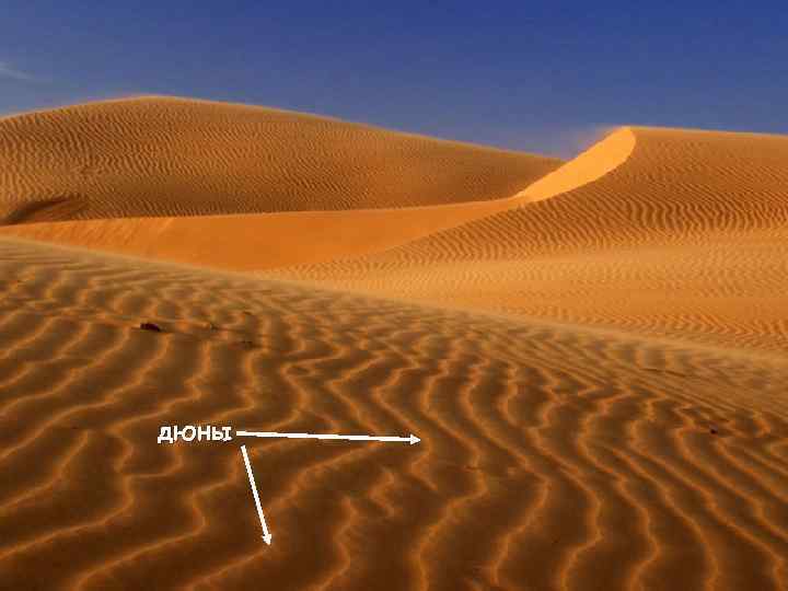 дюны 