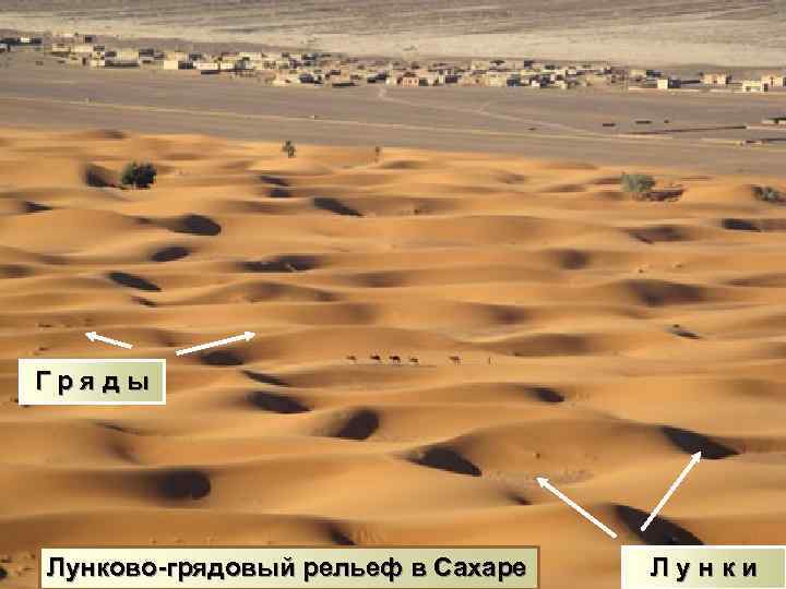 Гряды Лунково-грядовый рельеф в Сахаре Лунки 