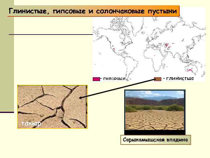 Глинистые, гипсовые и солончаковые пустыни - гипсовые - глинистые такыр Сарыкамышская впадина 