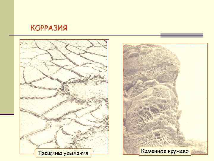 КОРРАЗИЯ Трещины усыхания Каменное кружево 