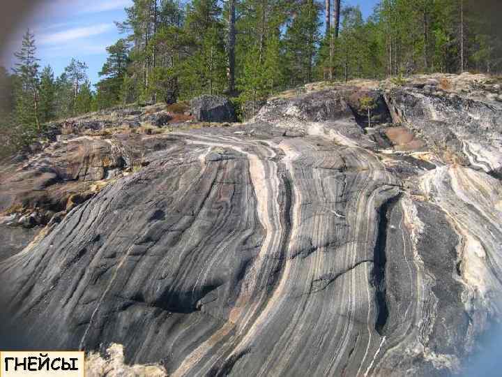 ГНЕЙСЫ 