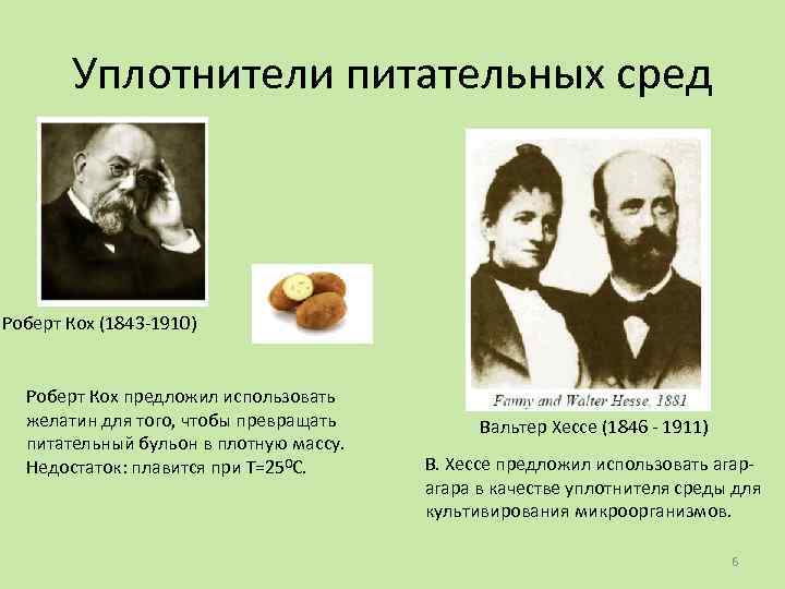 Уплотнители питательных сред Роберт Кох (1843 -1910) Роберт Кох предложил использовать желатин для того,