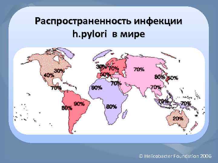 Распространенность инфекции h. pylori в мире © Helicobacter Foundation 2006 