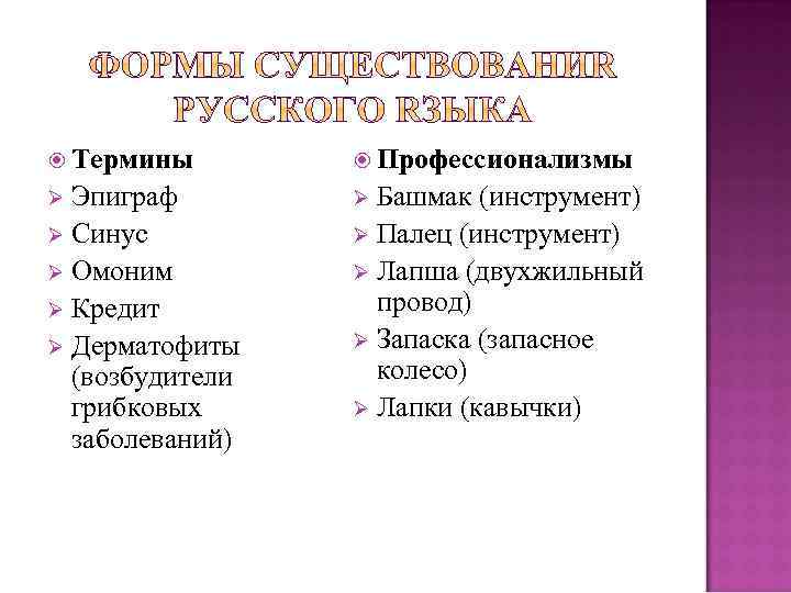  Термины Профессионализмы Эпиграф Ø Синус Ø Омоним Ø Кредит Ø Дерматофиты (возбудители грибковых