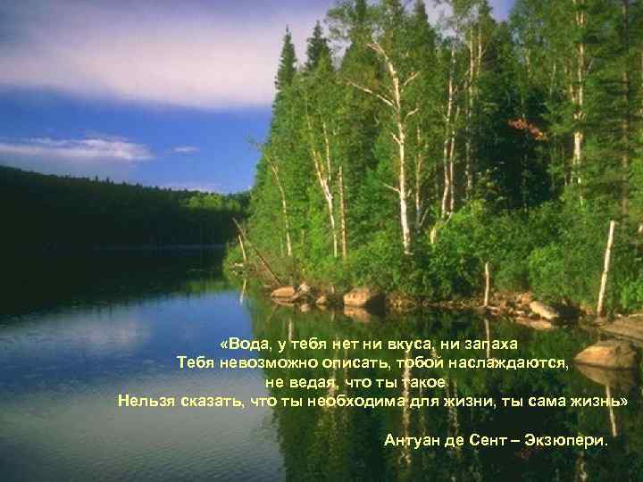  «Вода, у тебя нет ни вкуса, ни запаха Тебя невозможно описать, тобой наслаждаются,