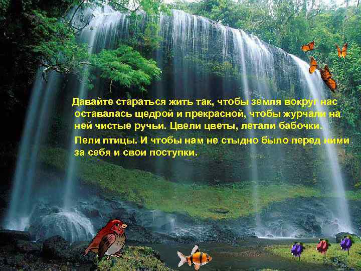  Давайте стараться жить так, чтобы земля вокруг нас оставалась щедрой и прекрасной, чтобы