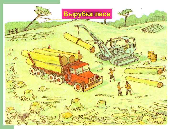 Вырубка леса 