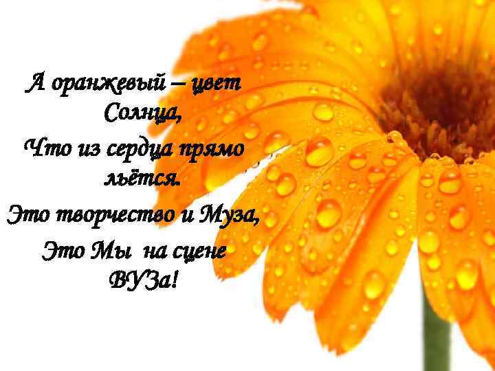А оранжевый – цвет Солнца, Что из сердца прямо льётся. Это творчество и Муза,